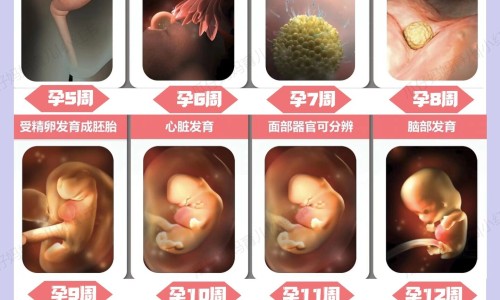 克装小儿肺热咳喘颗粒用法用量网 - 网站提供小儿肺热咳喘颗粒一盒16袋多少钱小常识、小儿肺热咳喘颗粒成分