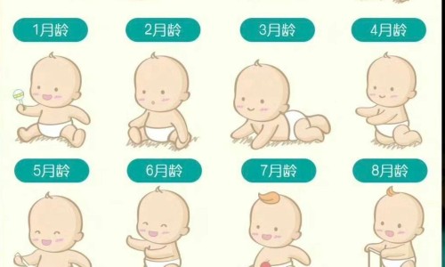 小儿肺热咳喘颗粒成分说明-克装小儿肺热咳喘颗粒用法用量网 - 网站提供小儿肺热咳喘颗粒一盒16袋多少钱小常识、小儿肺热咳喘颗粒成分